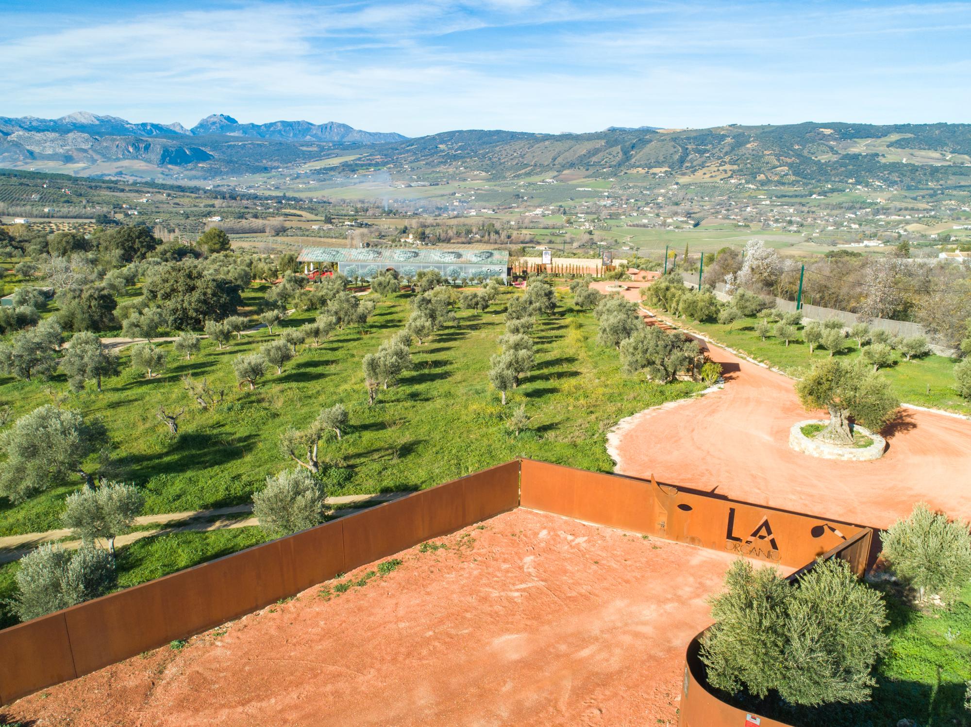 Cortijo La Organic Hotel Ronda Eksteriør billede