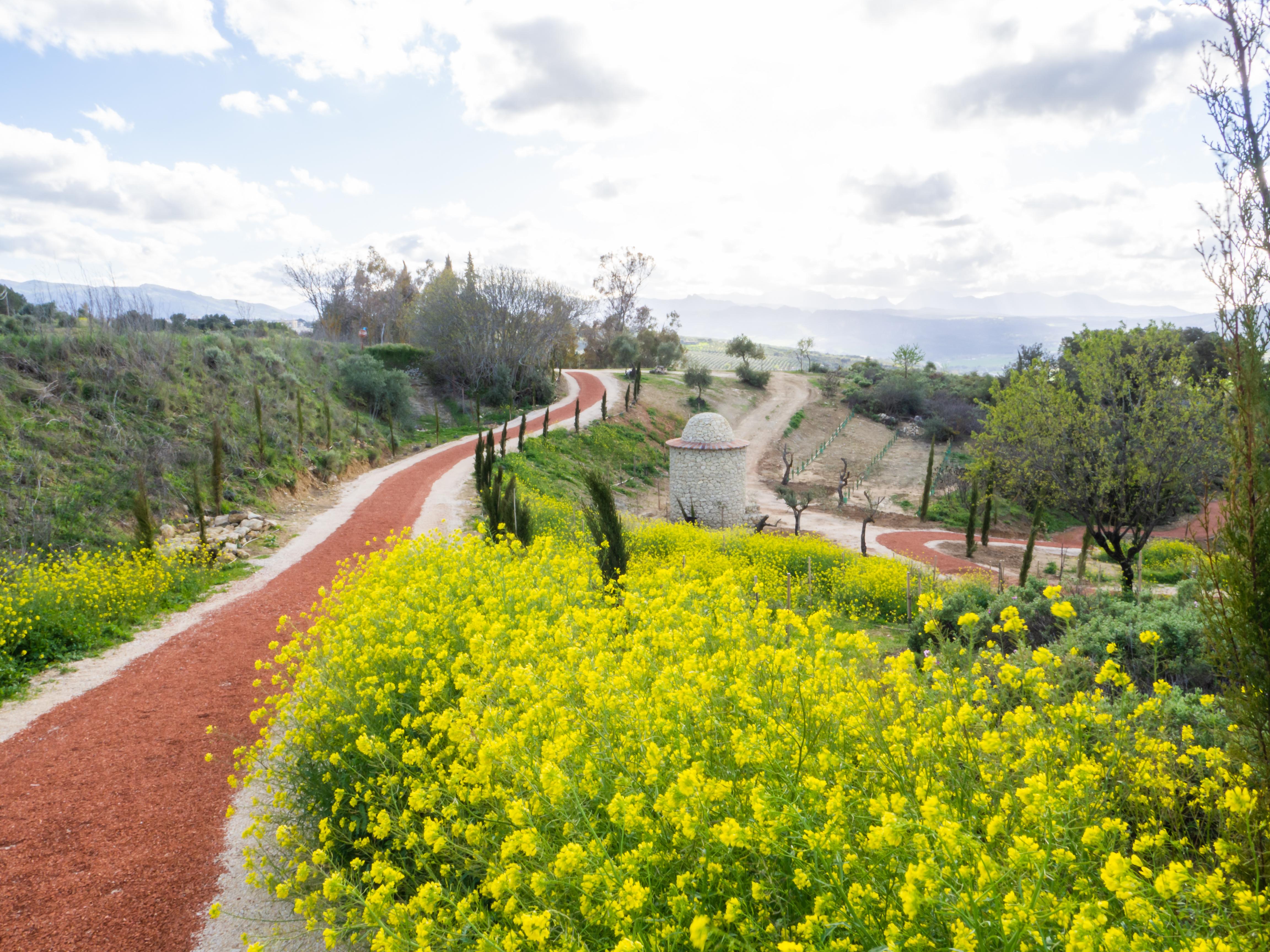 Cortijo La Organic Hotel Ronda Eksteriør billede