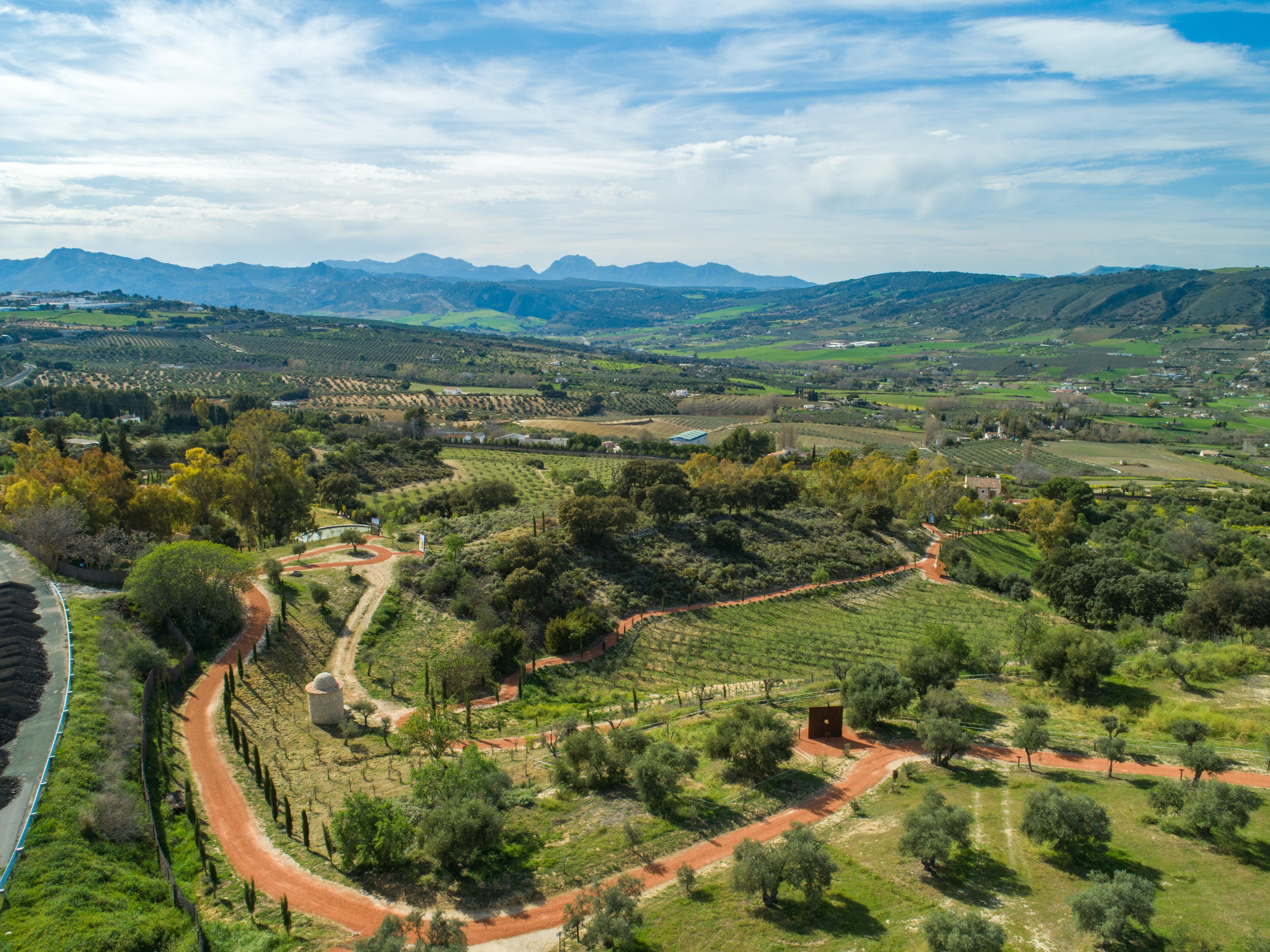 Cortijo La Organic Hotel Ronda Eksteriør billede