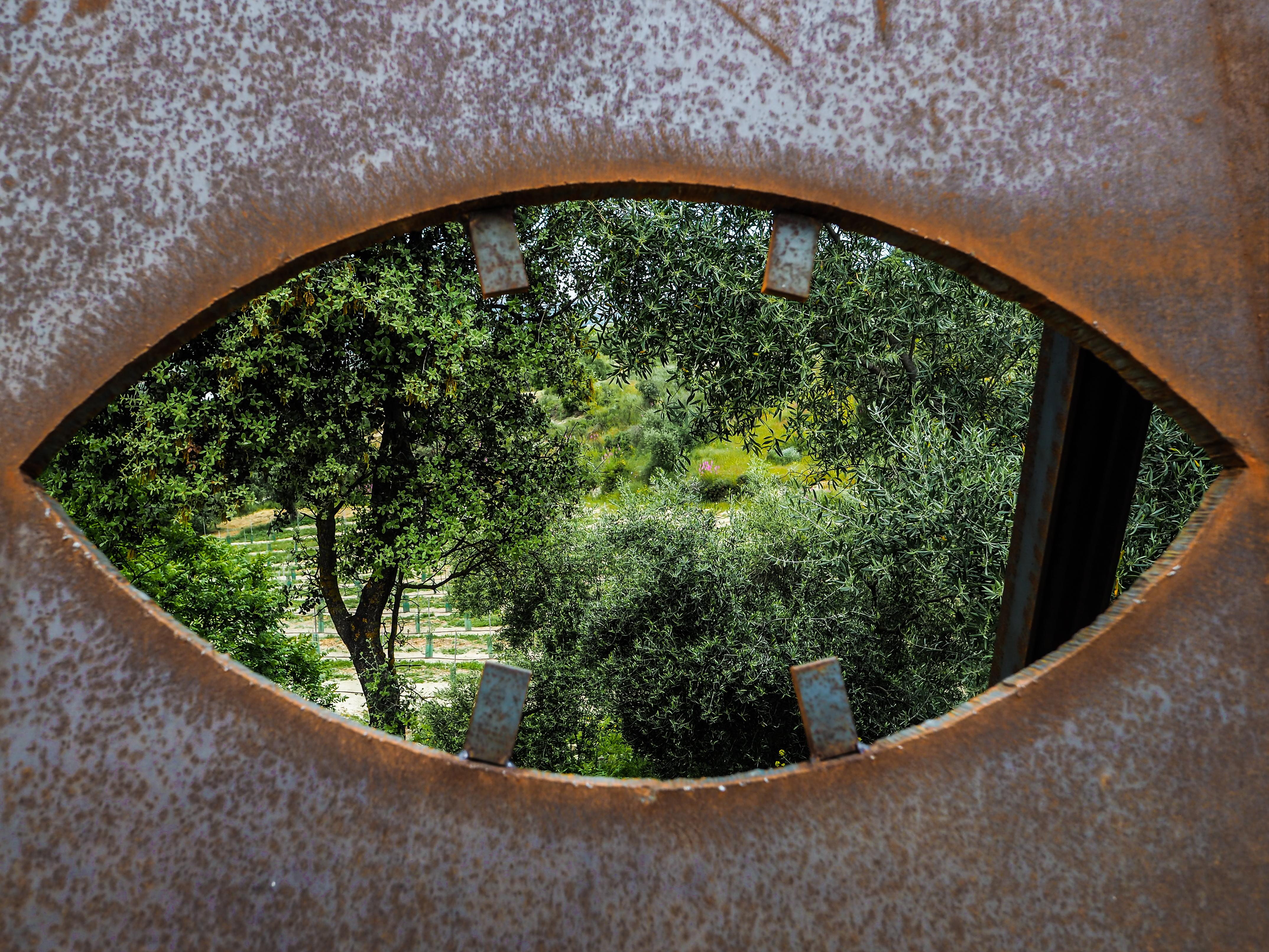 Cortijo La Organic Hotel Ronda Eksteriør billede