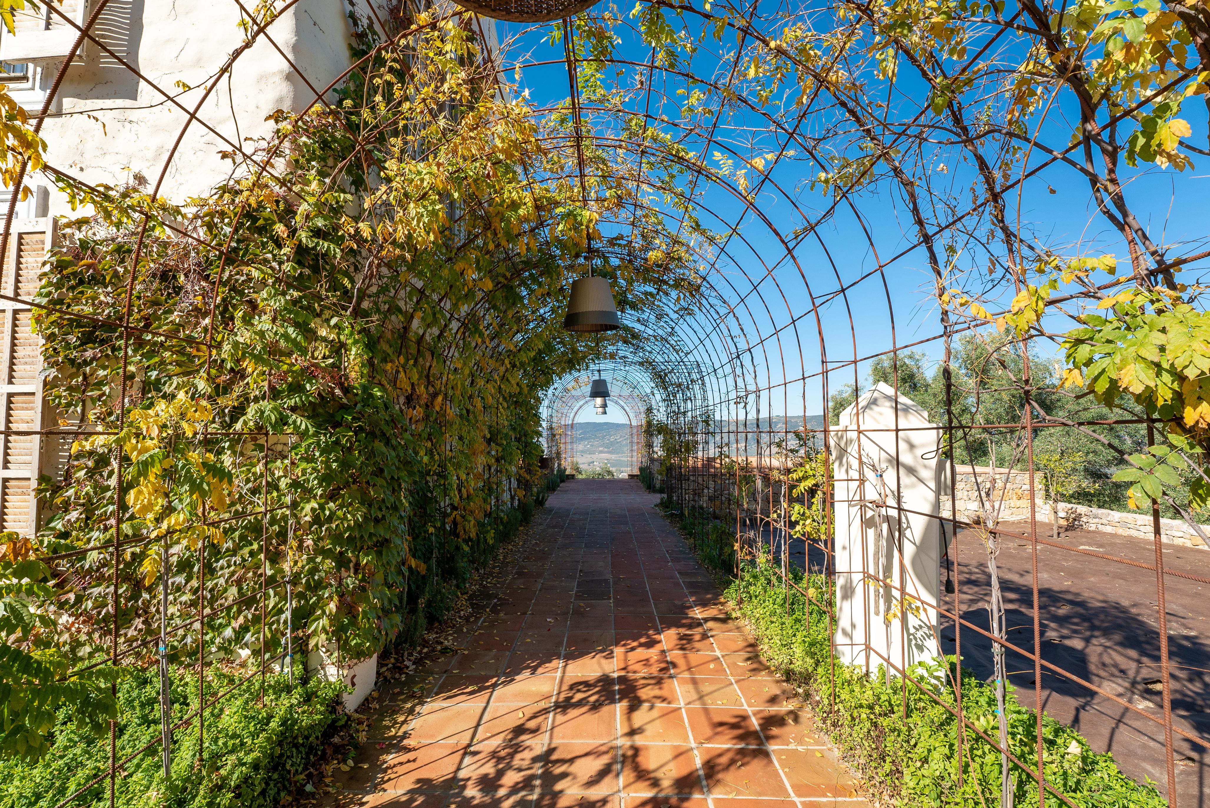 Cortijo La Organic Hotel Ronda Eksteriør billede