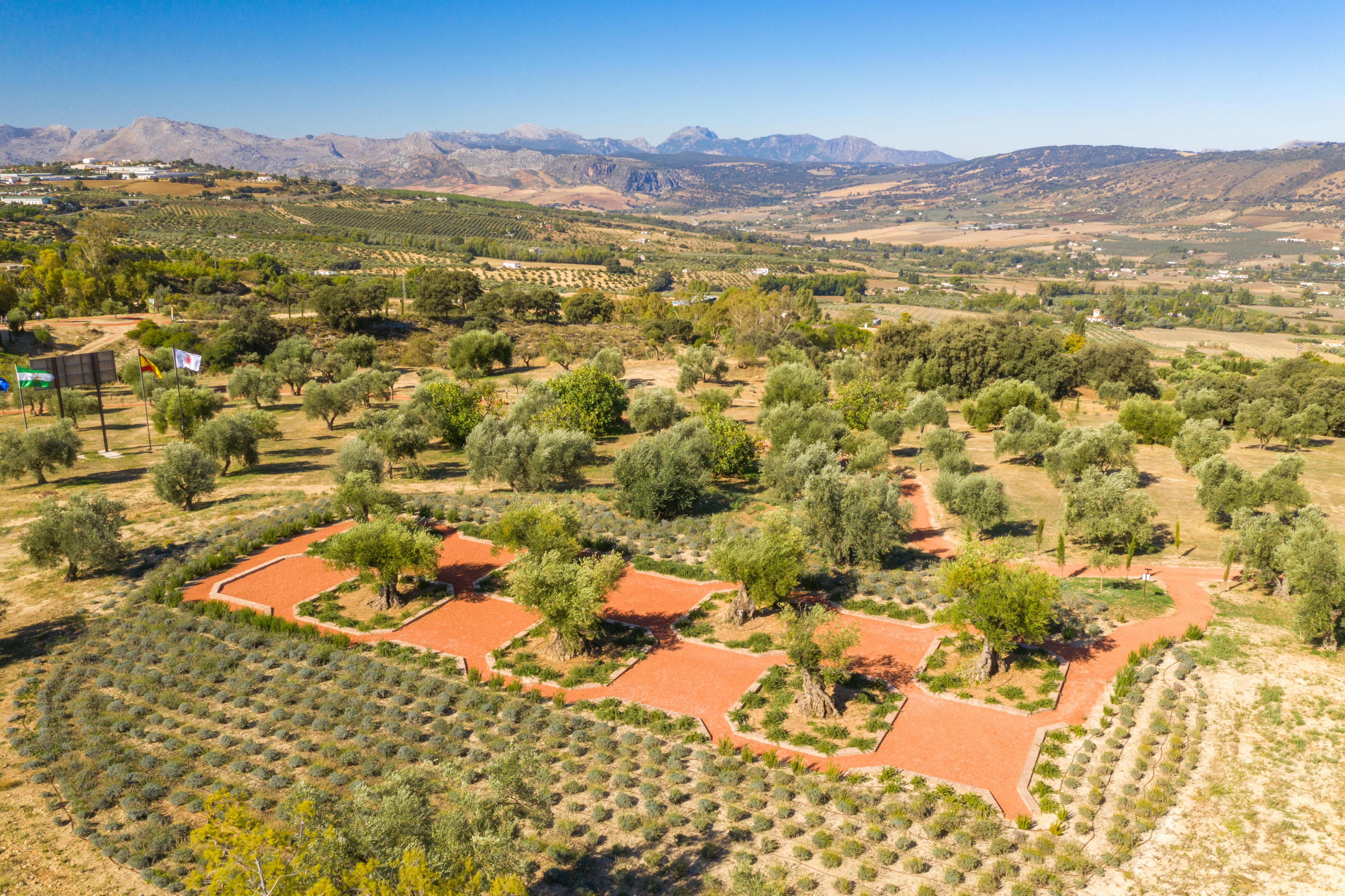 Cortijo La Organic Hotel Ronda Eksteriør billede