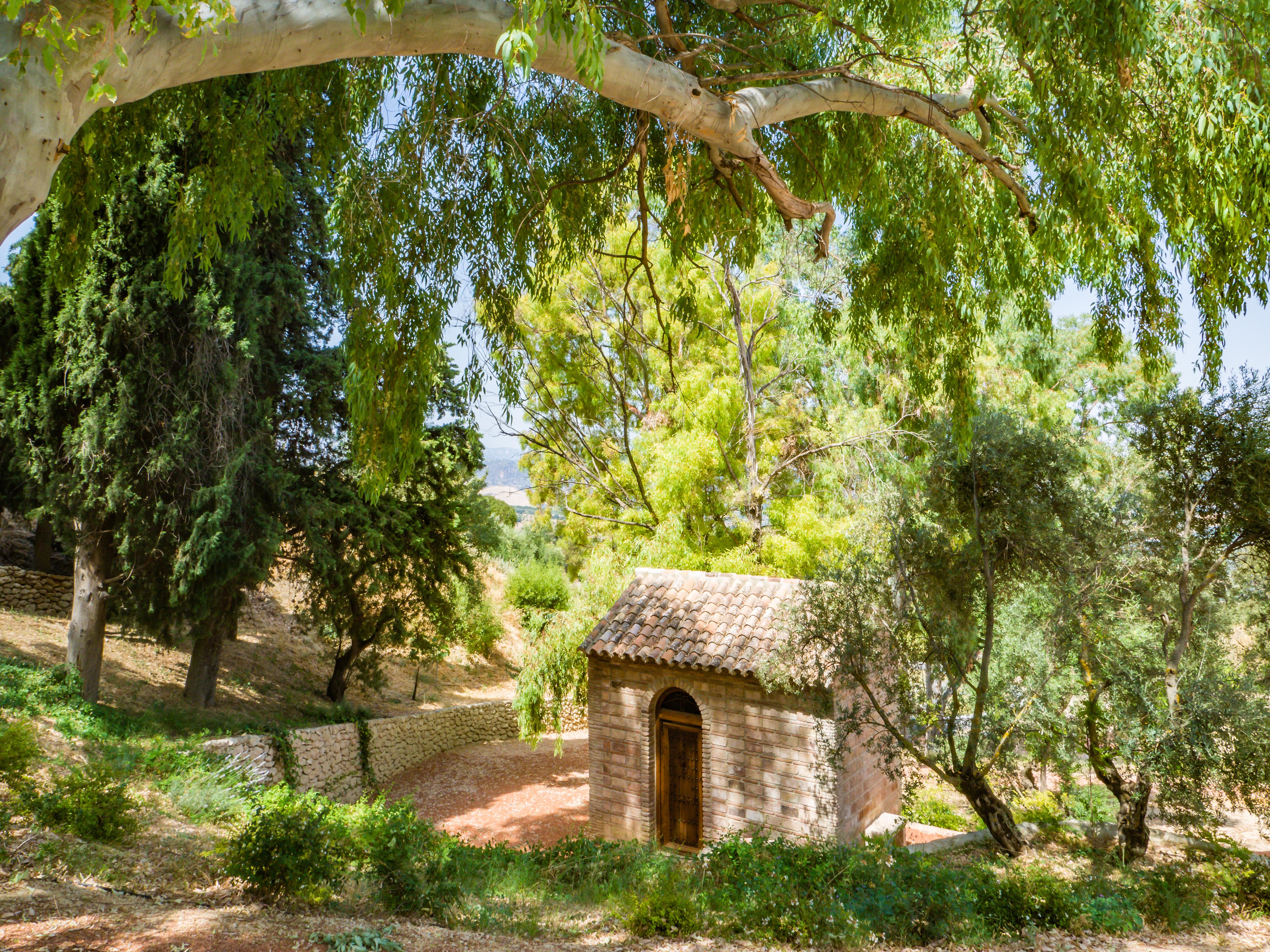 Cortijo La Organic Hotel Ronda Eksteriør billede